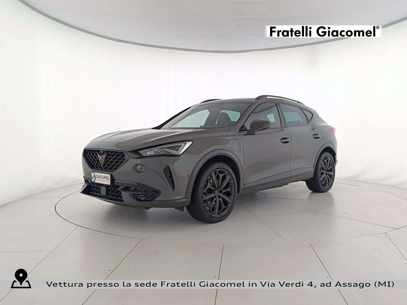 https://cdn-giacomel.caraffinity.it/fratelligiacomel/weicola/large/83/+2025+12+02+V095594_692ebca2cc041.jpg/d2c3a23031d83f144c737cae754432dc.jpg?format=jpeg