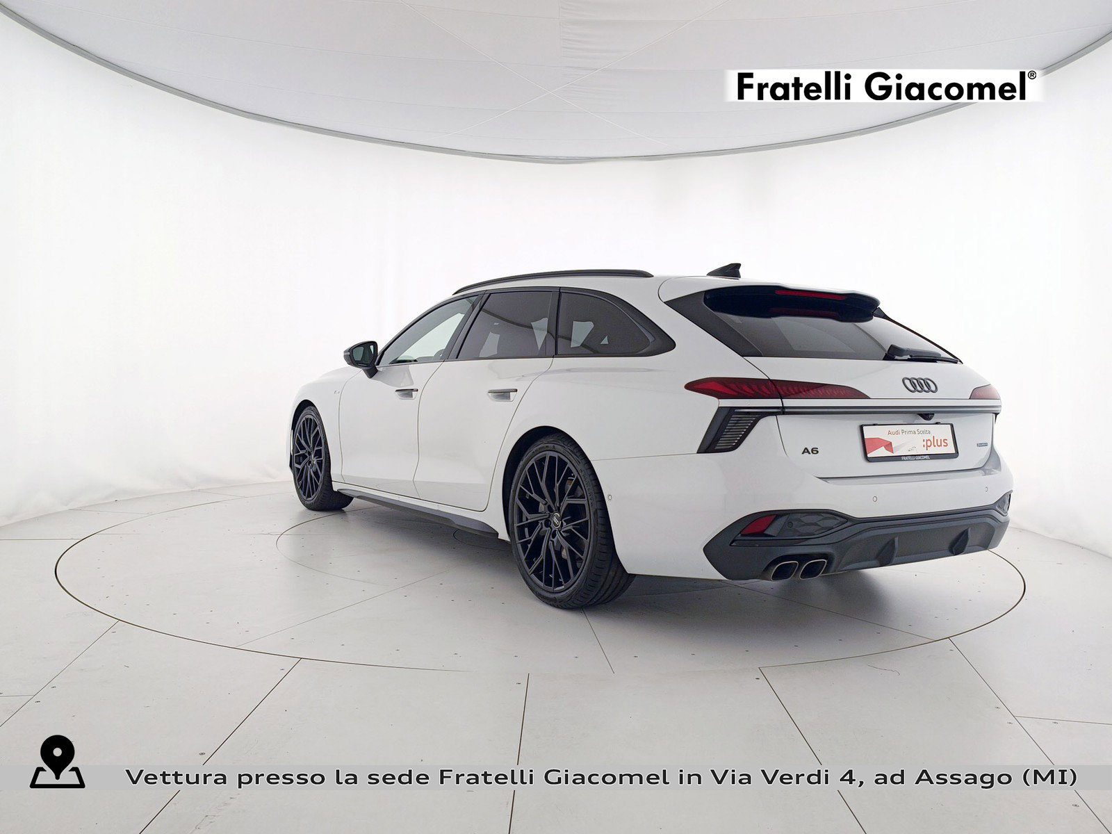 https://cdn-giacomel.caraffinity.it/fratelligiacomel/weicola/large/83/+2026+03+02+V101589_69a5ae9f12d7a.jpg/4ab8a76998fd8ceb19f0b9162f388960.jpg